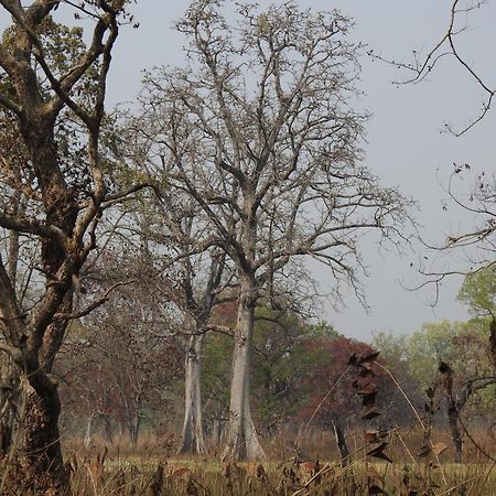 Babai Resort Pvt Ltd Bardiya Exterior photo